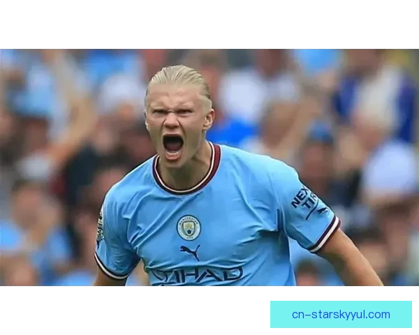 极寒客场生死战哈兰德冲第八