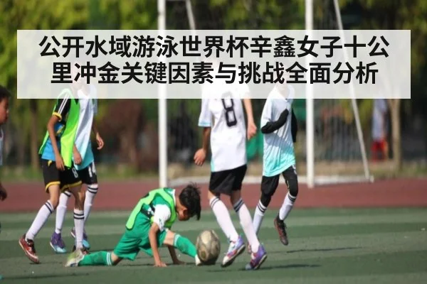 公开水域游泳世界杯辛鑫女子十公里冲金关键因素与挑战全面分析